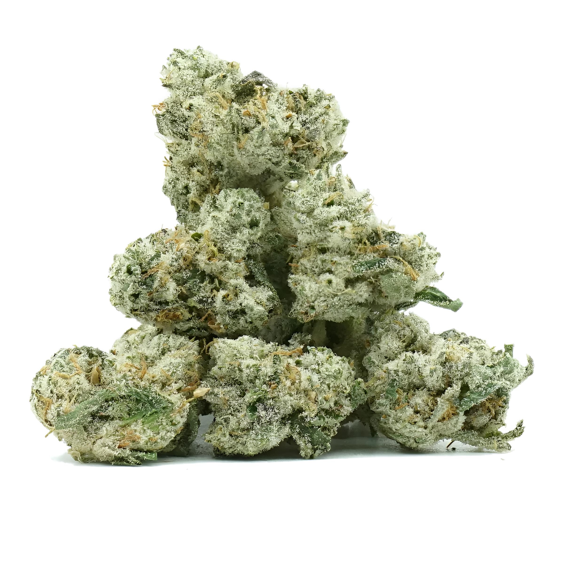 Small Bud Lemon