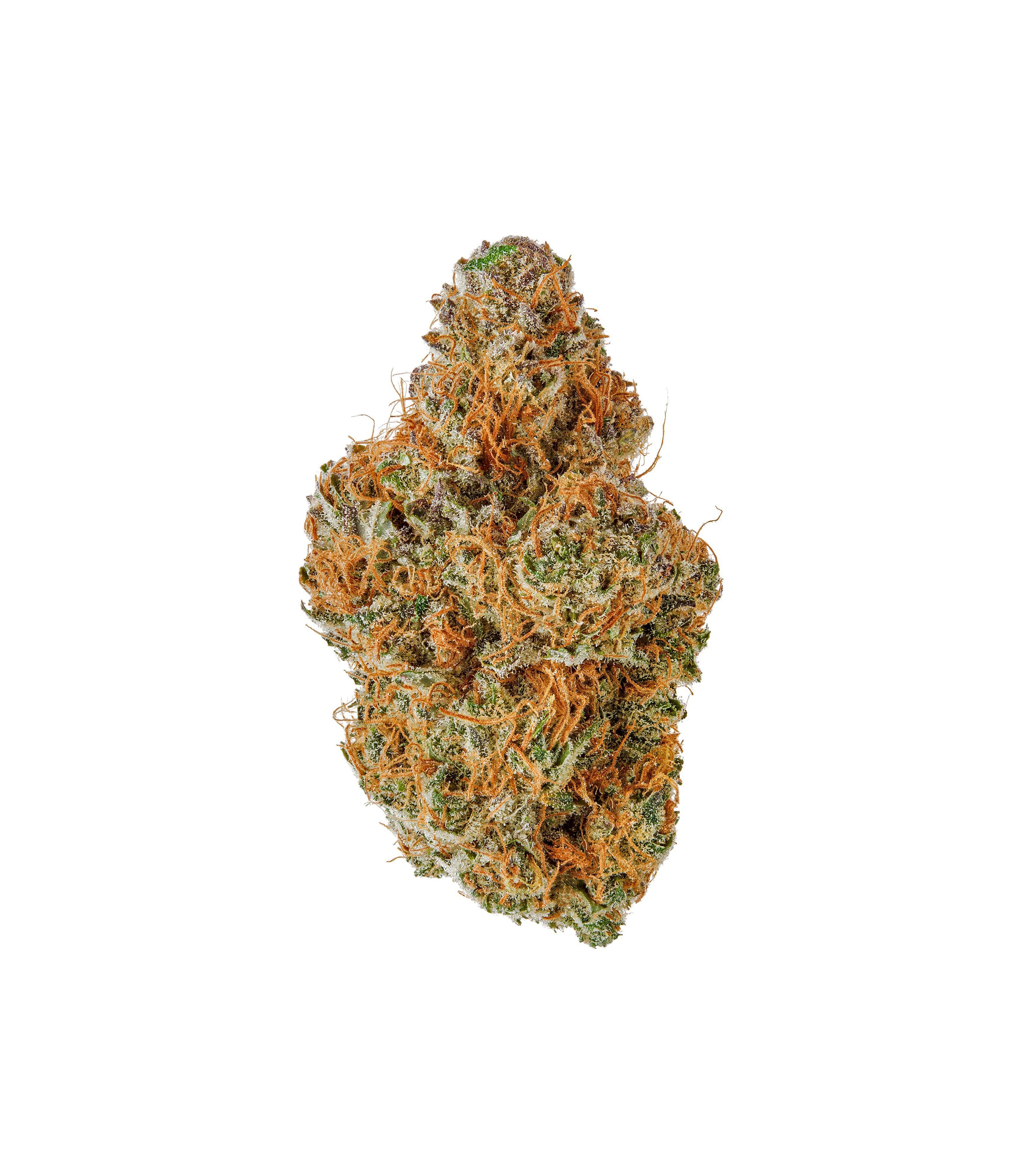 Banana Hydro Indoor CBD