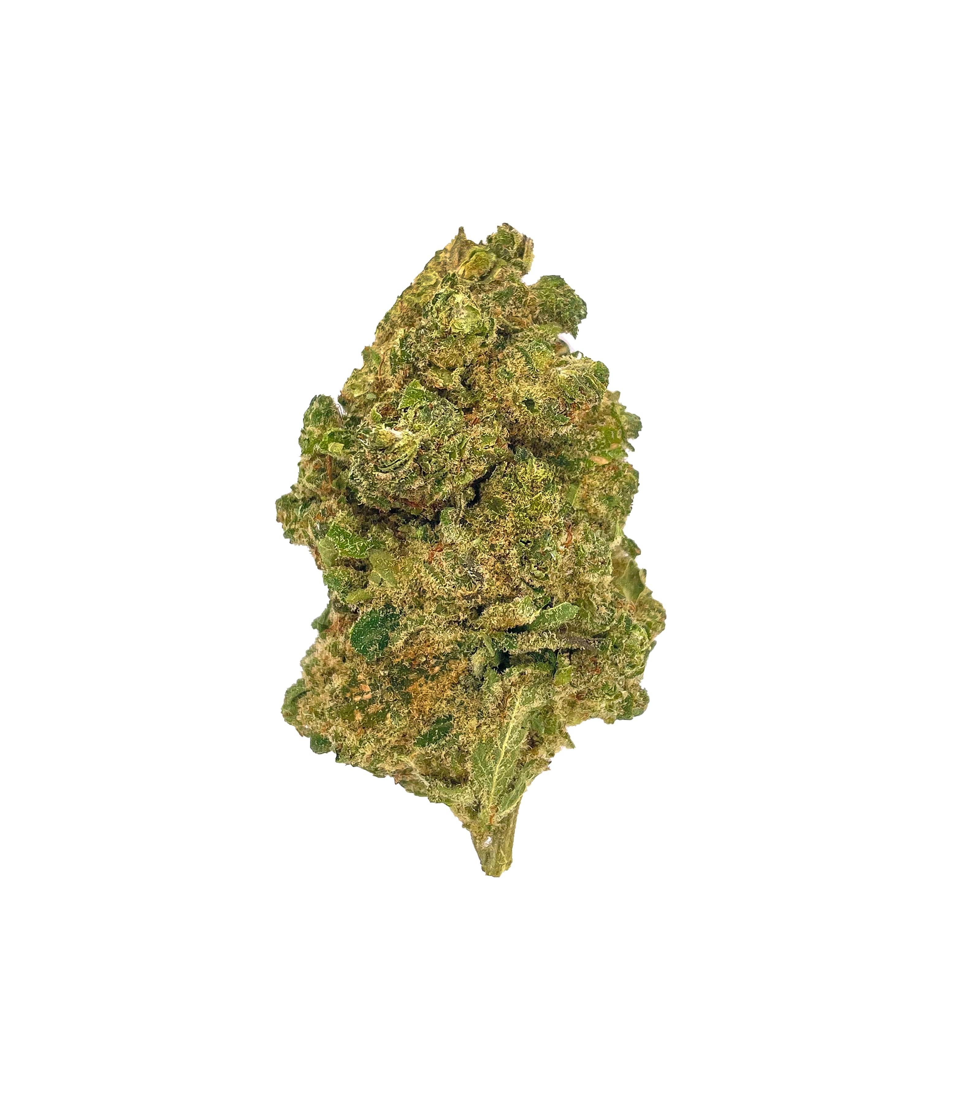 Jack Herer Hydro Indoor CBD