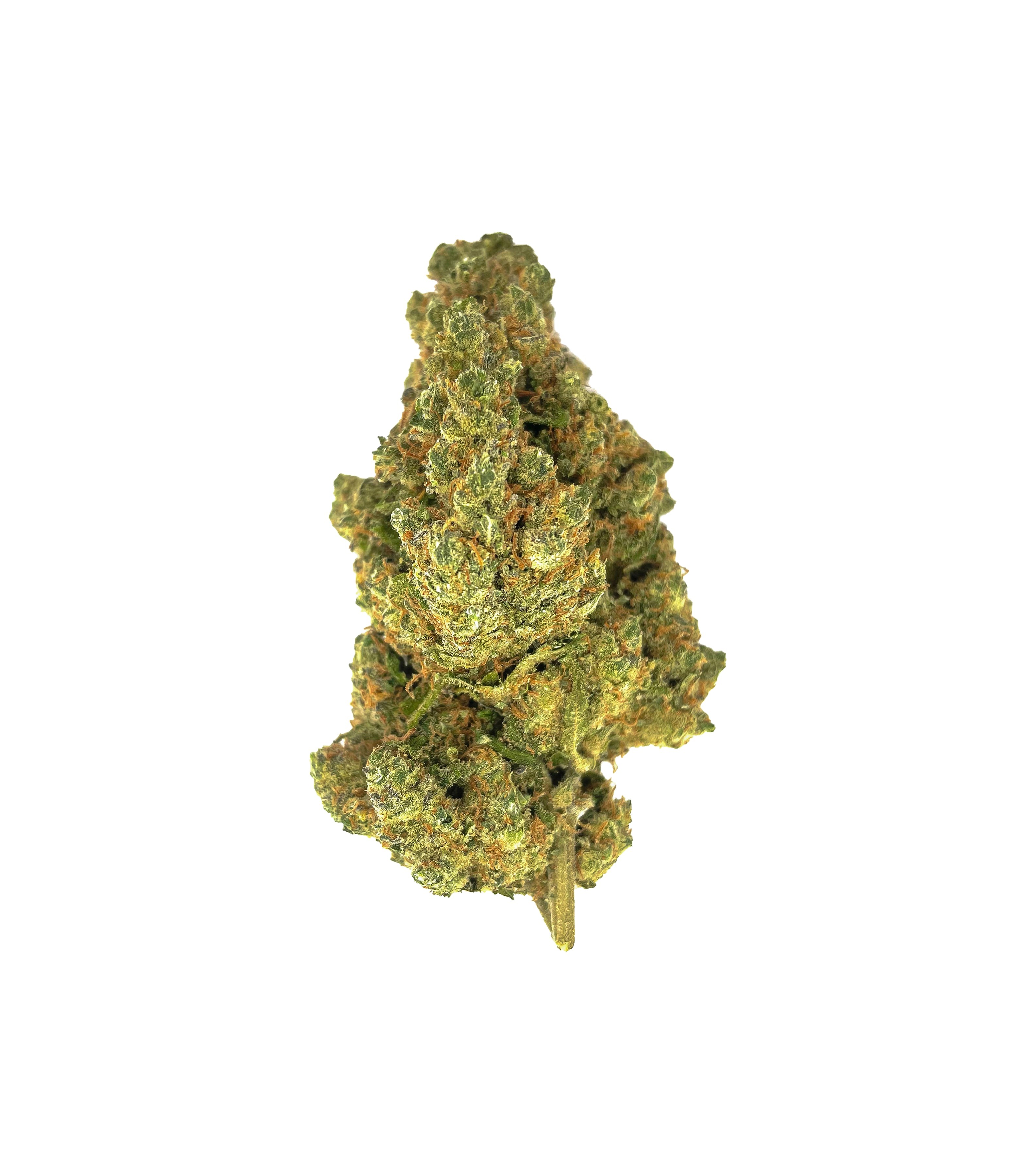 Amnésia Hydro Indoor CBD