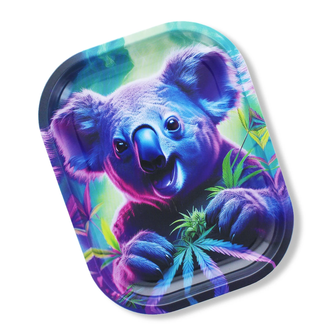 Plateau BEUZ – Crazy Koala